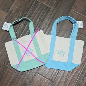Trader Joe's Adorable Canvas Tote Blue & Mint Green